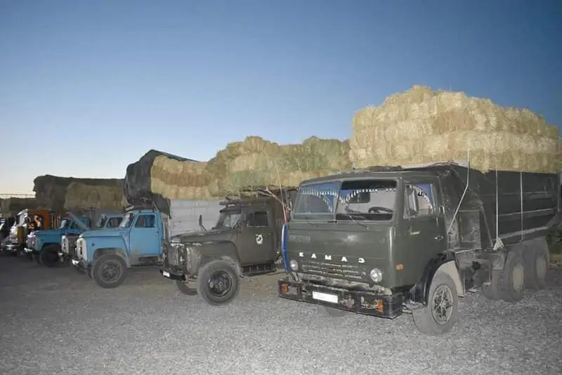 Около 100 вагонов сена отправили из Туркестанской в Мангистаускую область