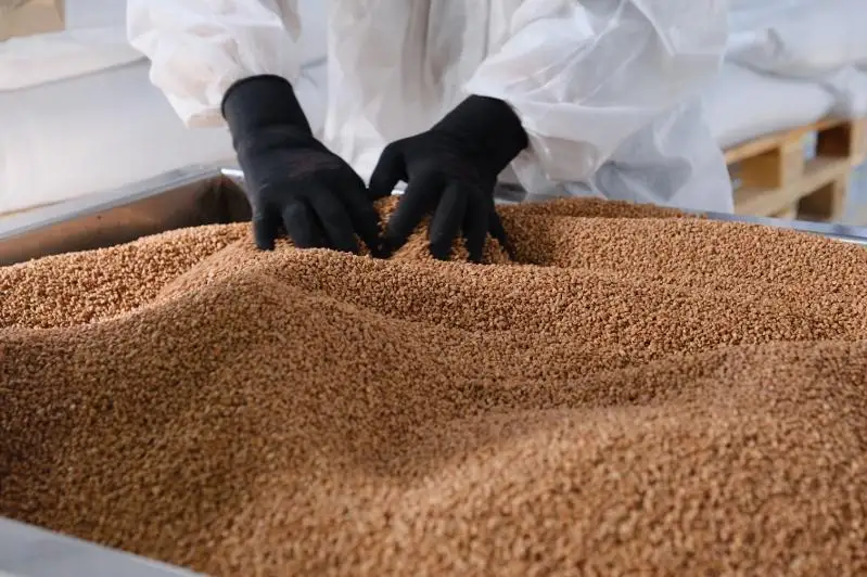 Объемы производства крупы, сахара, соков увеличились в Казахстане