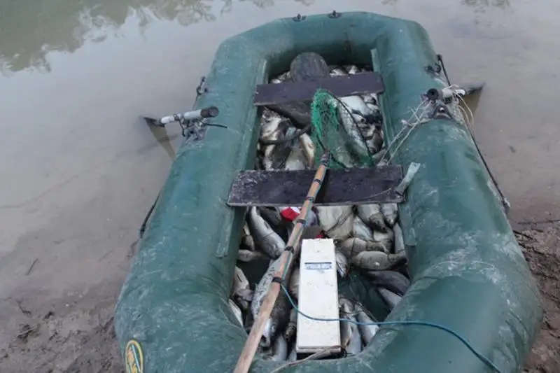 Полицейские Туркестанской области задержали браконьеров с краснокнижной рыбой