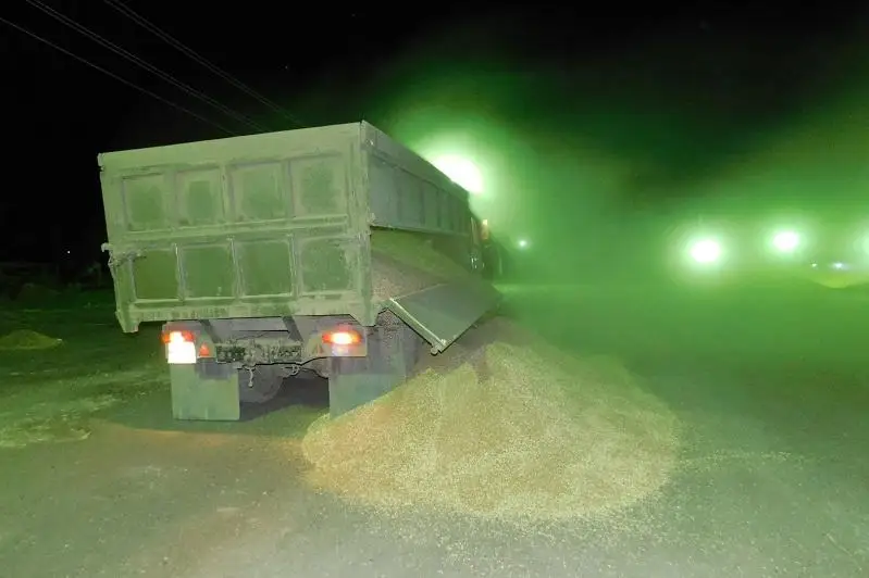 Зерно на 1,5 млн тенге пытались вывезти с поля трое жителей СКО