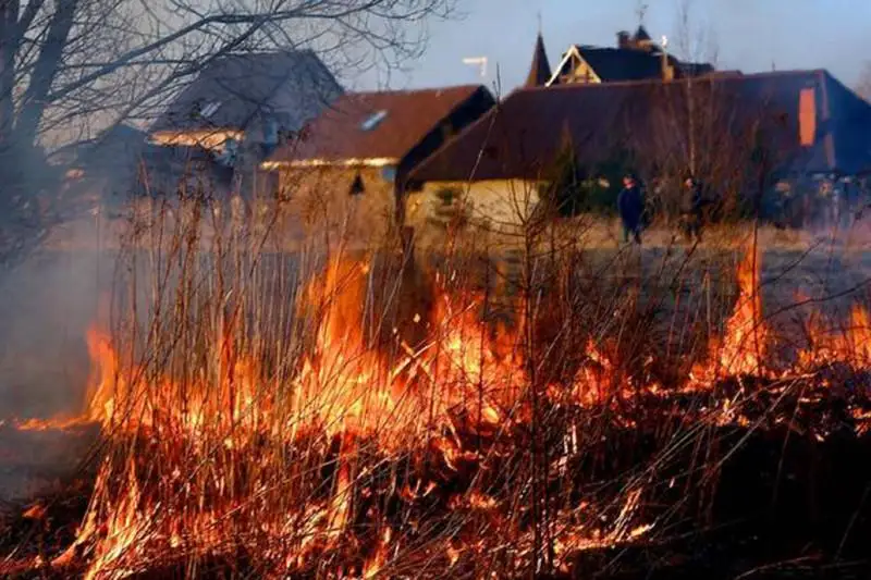 Не поджигать сухую траву вокруг участка своих домов просят столичных жителей