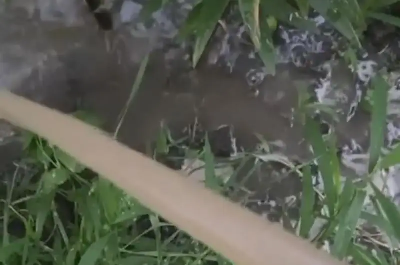 На питьевую воду из грязного арыка пожаловались алматинцы