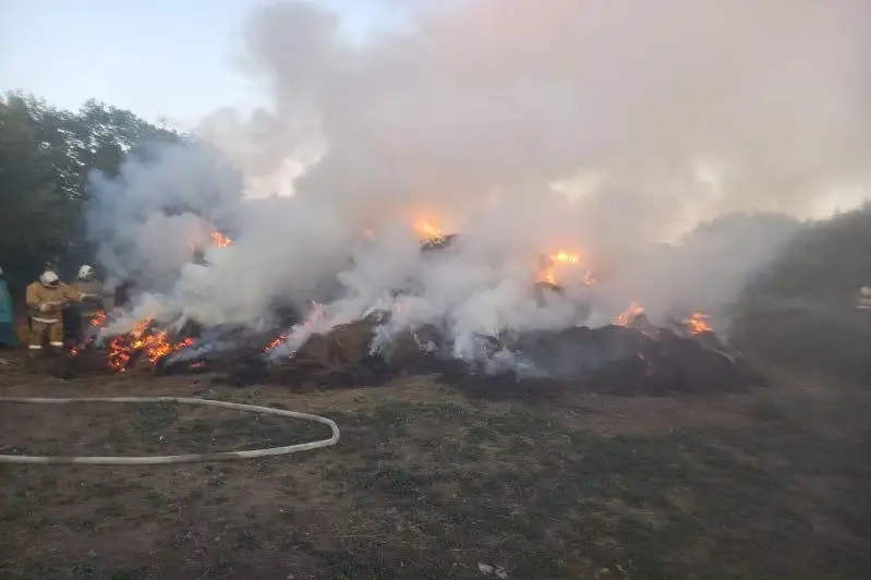 Акмолинка подожгла 10 тонн сена соседки