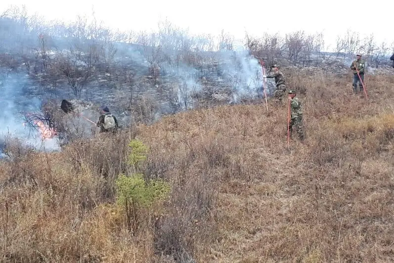 TJM: Almaty oblysynyń Qora shatqalyn áli tútin basyp jatyr