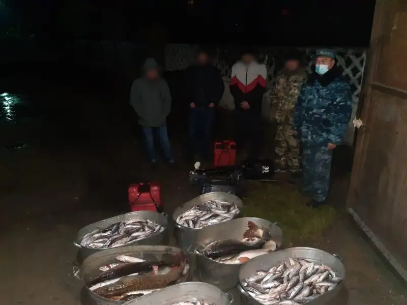 Buqtyrmada 200 keli balyq aýlaǵan brakonerler ustaldy