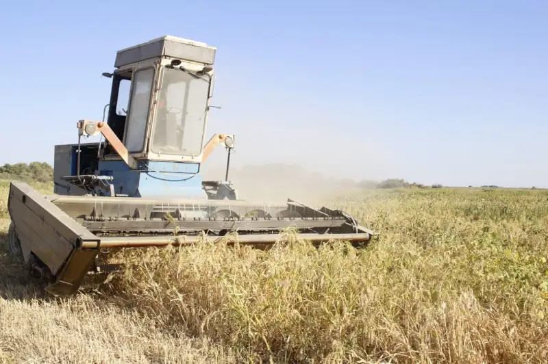 Уборку проса завершают в Мойынкумском районе Жамбылской области