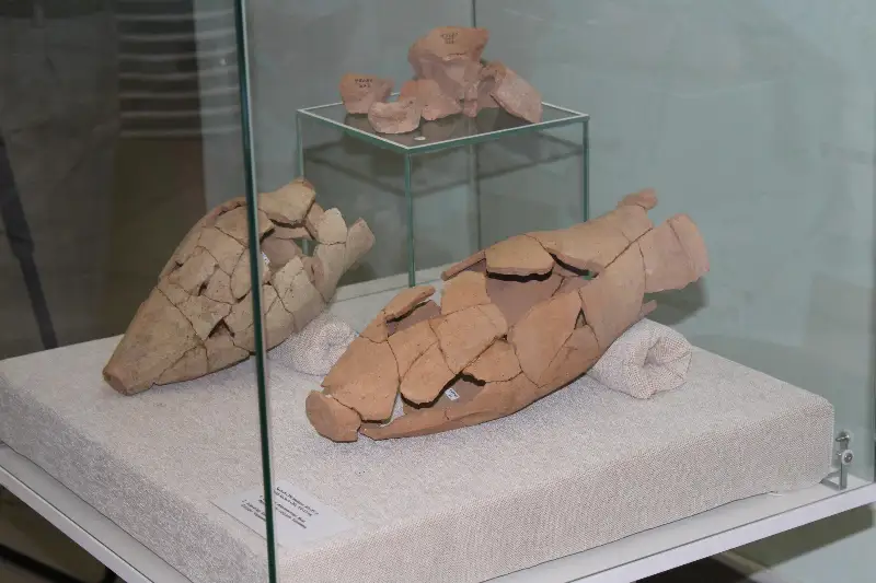 Артефакты памятника эпохи Золотой Орды выставили в музее СКО