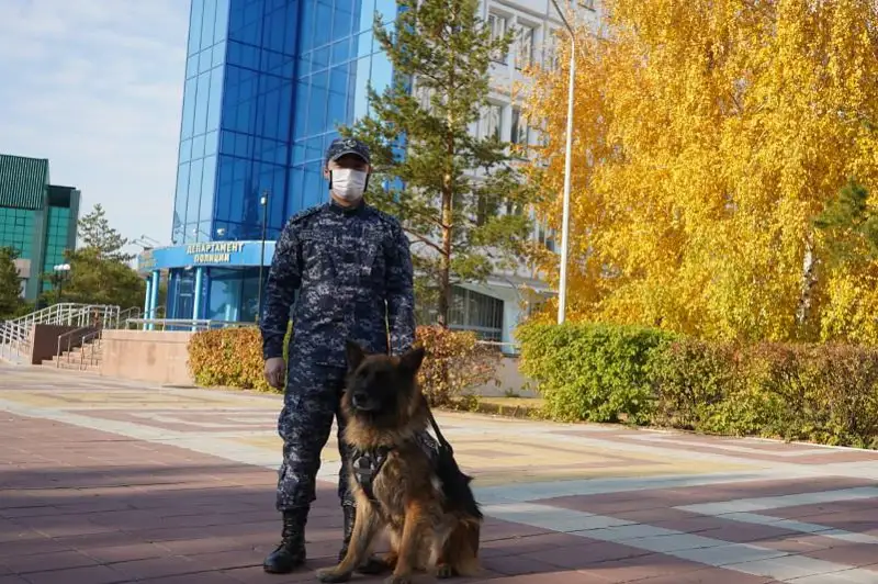 Служебная овчарка помогла задержать преступника в Костанае