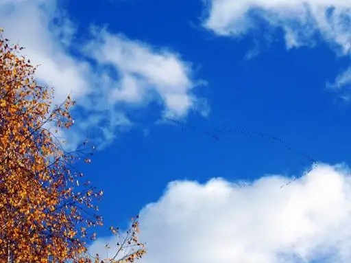 Благоприятные  метеоусловия ожидаются в Казахстане 21 сентября