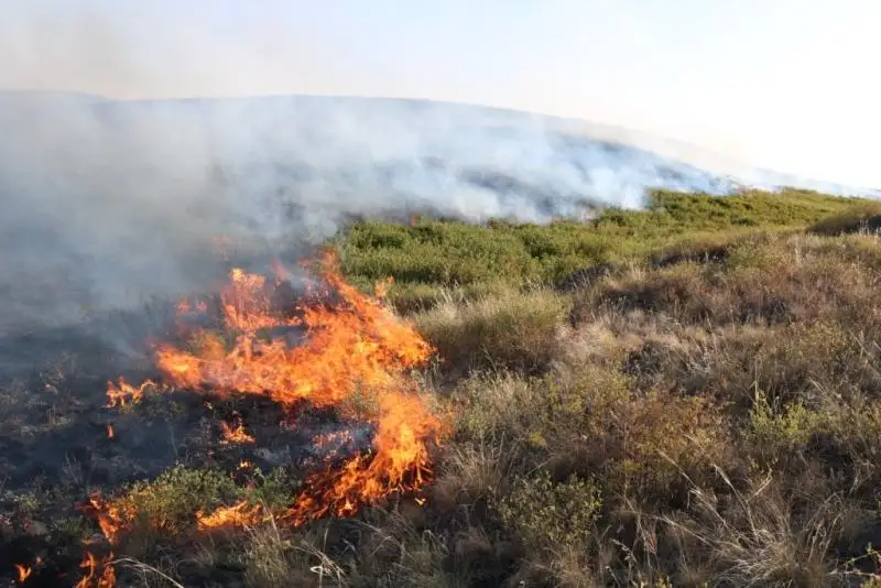О ситуации в Улытауском районе рассказал начальник ДЧС Карагандинской области