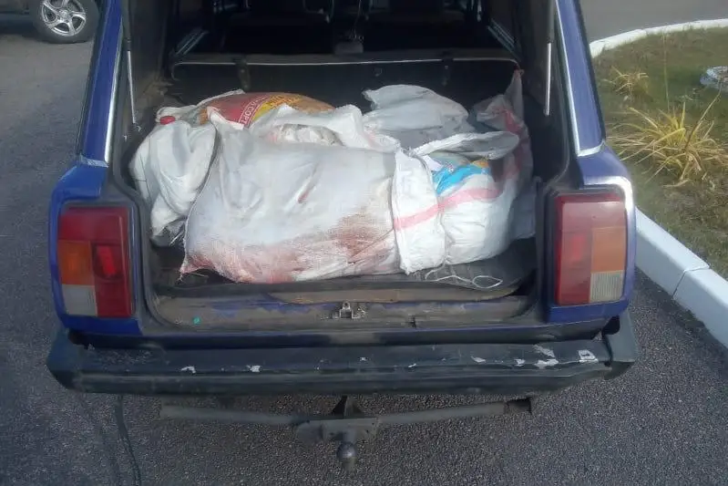 Кабана и косулю убили браконьеры в СКО