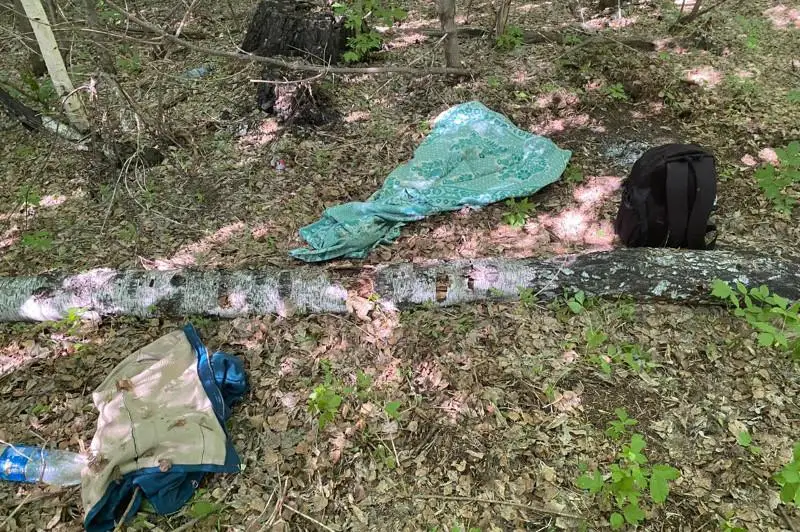 Убита женщина и ранен полицейский: в Костанайской области задержан подозреваемый