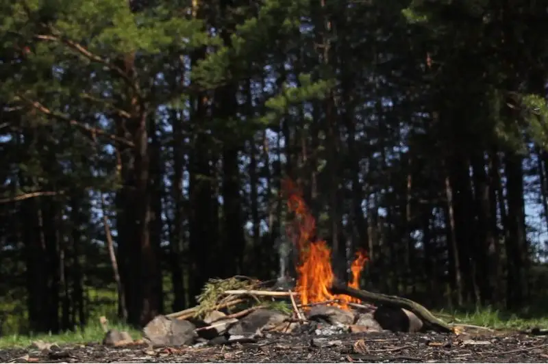 Профилактику по недопущению природных пожаров проводят в ВКО