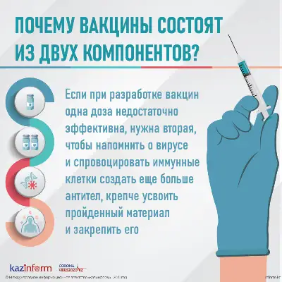 Почему вакцины состоят из двух компонентов?