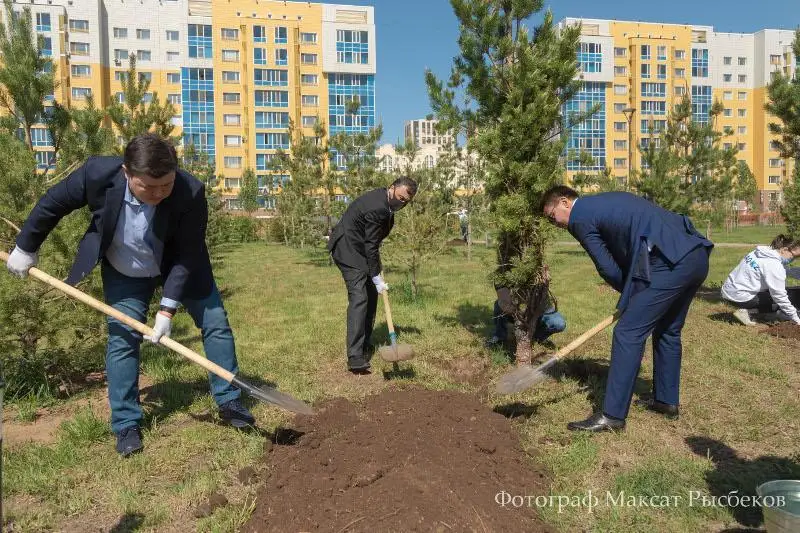 Сотрудники  АО «Казинформ» посадили деревья: у каждого портала свое дерево