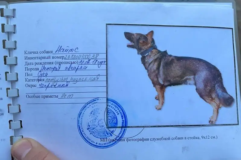 Служебную собаку похитили во время беспорядков в Алматы