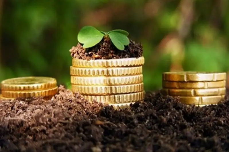 Сколько страховых выплат получили аграрии Казахстана по итогам прошлого сезона