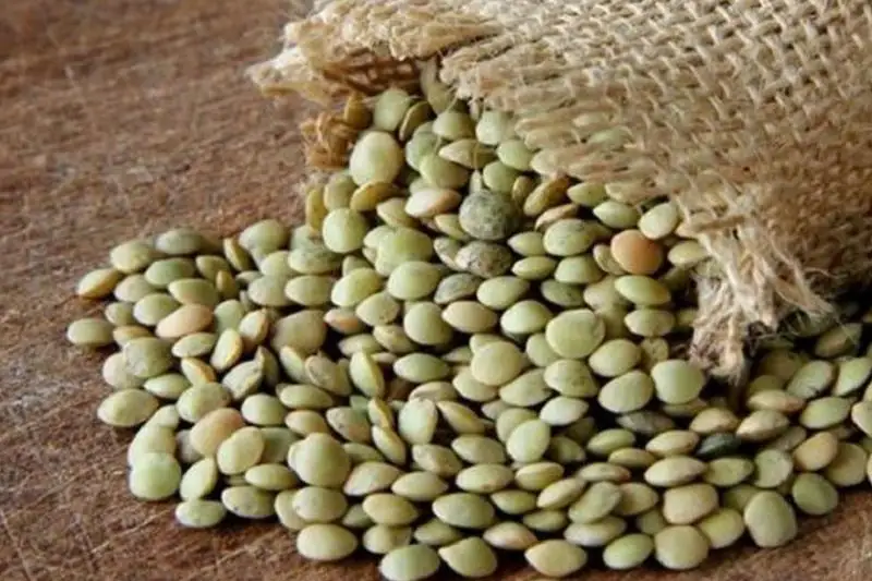 Чечевицу на 11 млн тенге похитили в СКО