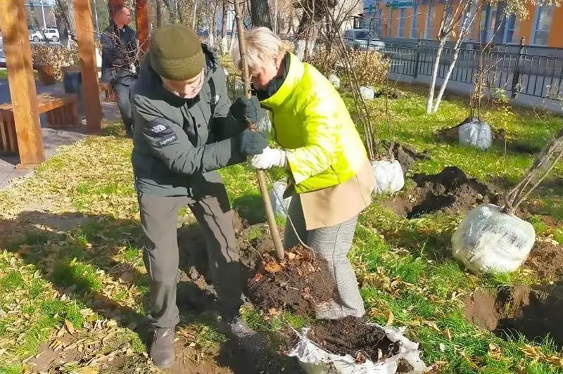 Более 70 деревьев посадил темиртауский школьник этой осенью
