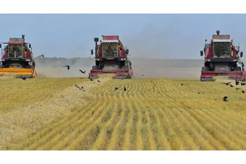 Программу залужения малопродуктивных земель разработают в Павлодарской области