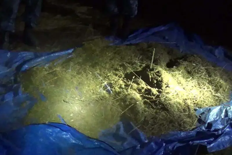 300 тысяч доз наркотиков обнаружены у жителей Шу