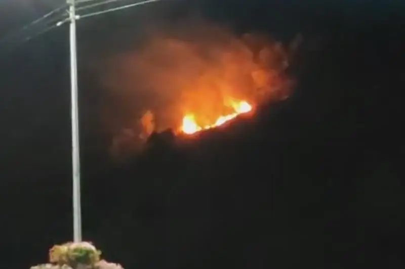 Крупный пожар в Алматы: была угроза распространения на АЗС