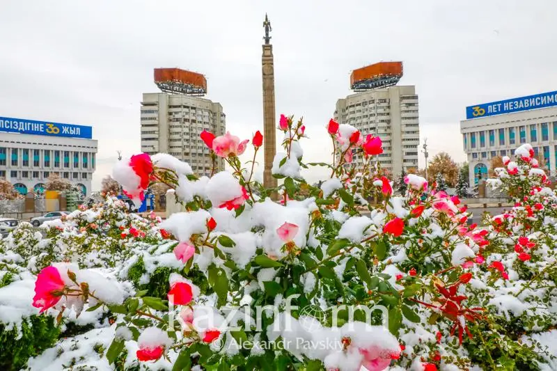 Первый снежный день в Алматы - фоторепортаж