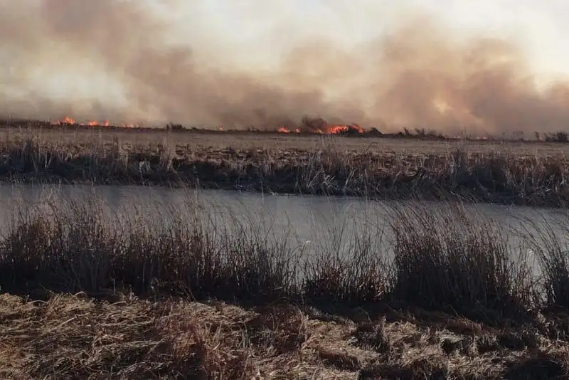 Из-за горящего камыша накрыло дымом Петропавловск