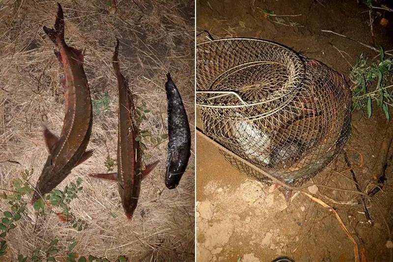 Браконьеров задержали на реке Жайык в ЗКО