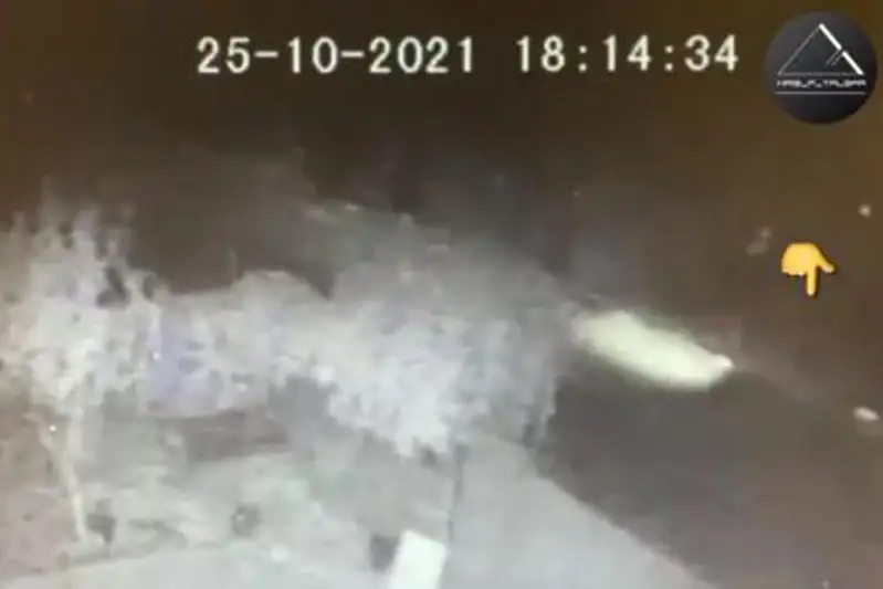 Водитель насмерть сбил 18-летнего парня и скрылся в Талгаре