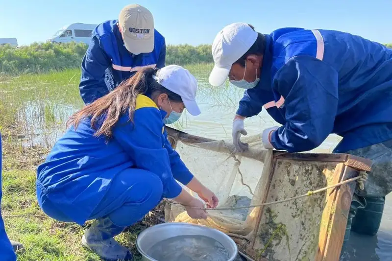 3,5 миллионов мальков осетровых выпустили в Урал