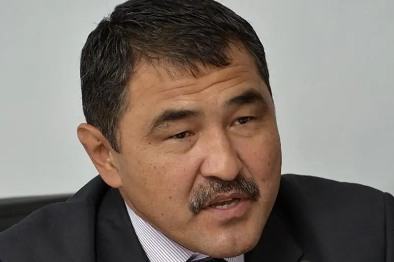 Государство выполняет обязательства по помощи крестьянским хозяйствам - Нуржан Нуржигитов