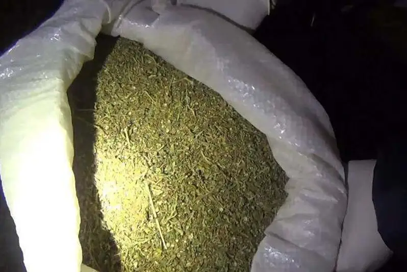 45 кг марихуаны изъяли полицейские у таразца