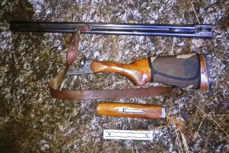 Выстрелами в воздух пришлось останавливать подозреваемых в незаконной охоте в СКО