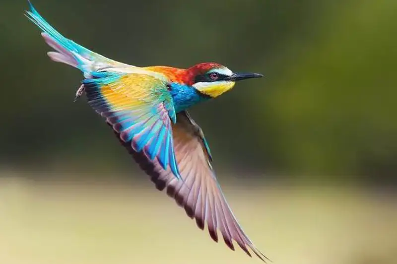 Птицу по кличке Шурка спасли в Аксу