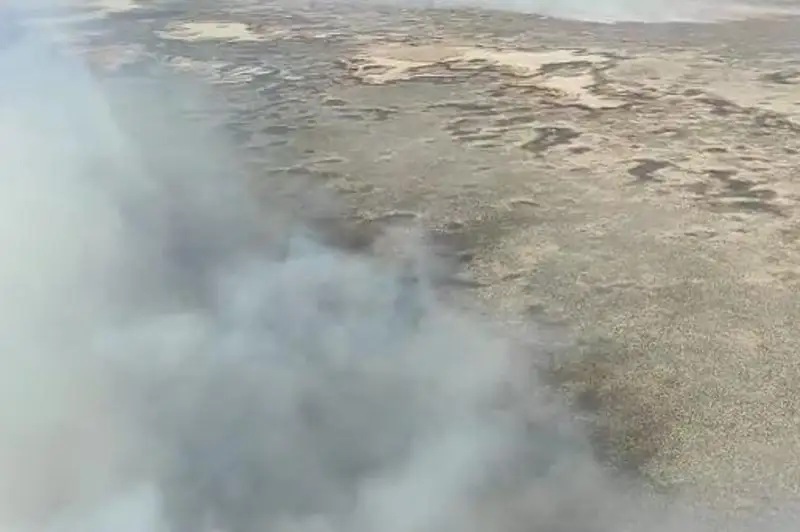 Пожар на границе с РФ продолжают тушить в Атырауской области