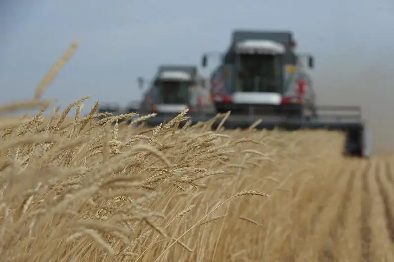 Экономику Павлодарской области продолжают диверсифицировать за счет АПК