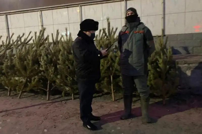 Акция «Ёлка» стартовала в Семее