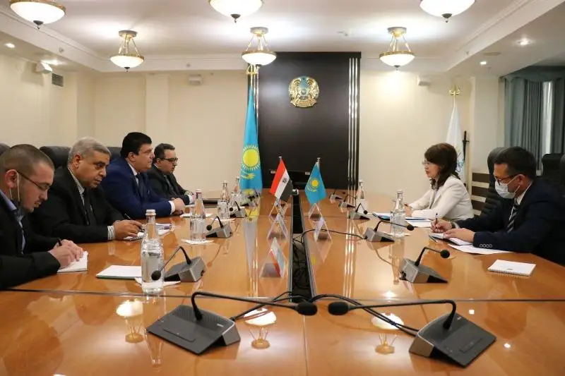 Казахстан и Египет намерены развивать сотрудничество по курируемым сферам МИОР РК