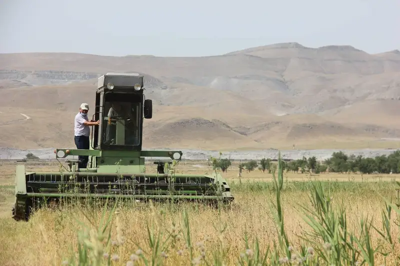 Ярмарки сельхозкормов начались в Жамбылской области