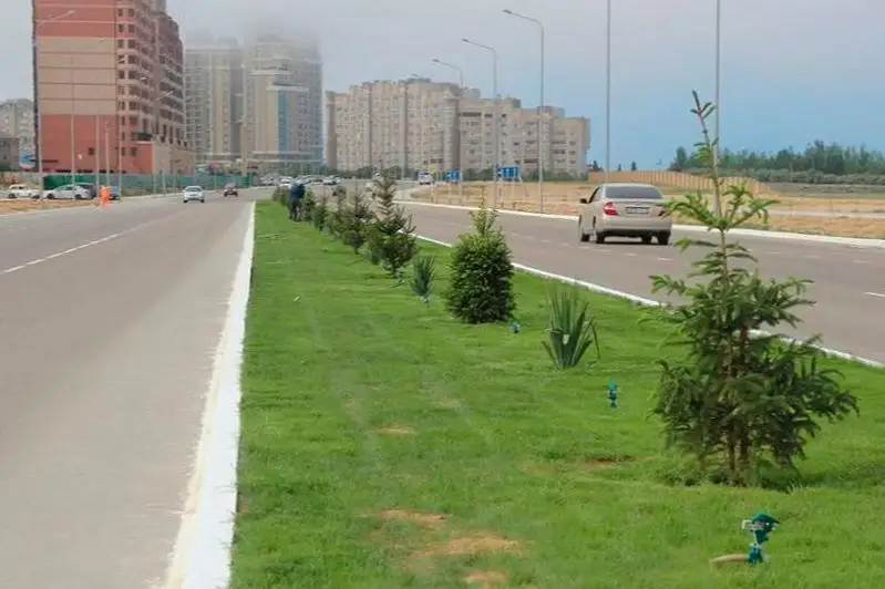 Озеленение Актау передадут в государственно-частное партнерство