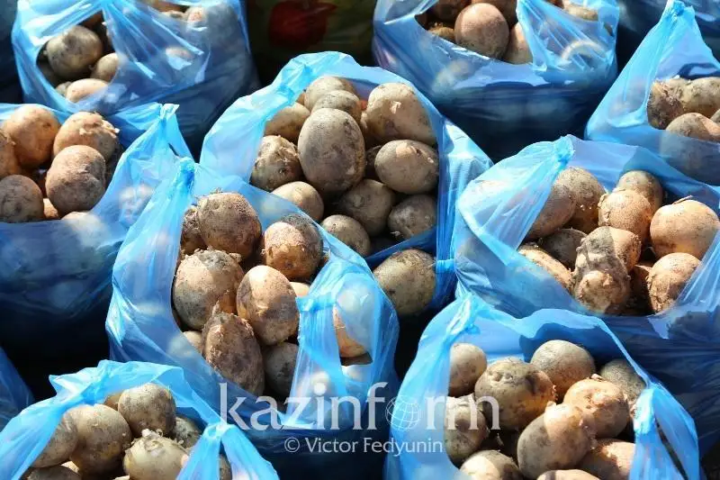 О мерах для стабилизации цен на картофель в РК рассказали в Минсельхозе