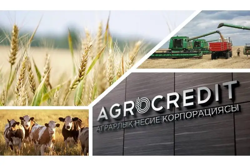 Оператором по страхованию в агропромышленном комплексе стала Аграрная кредитная корпорация