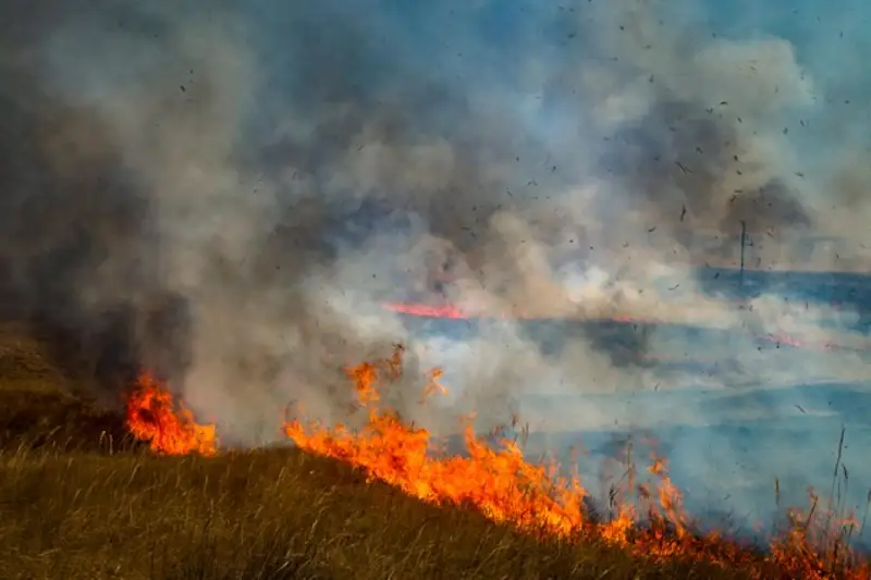 Смог накрыл Костанай: причину назвали в ДЧС