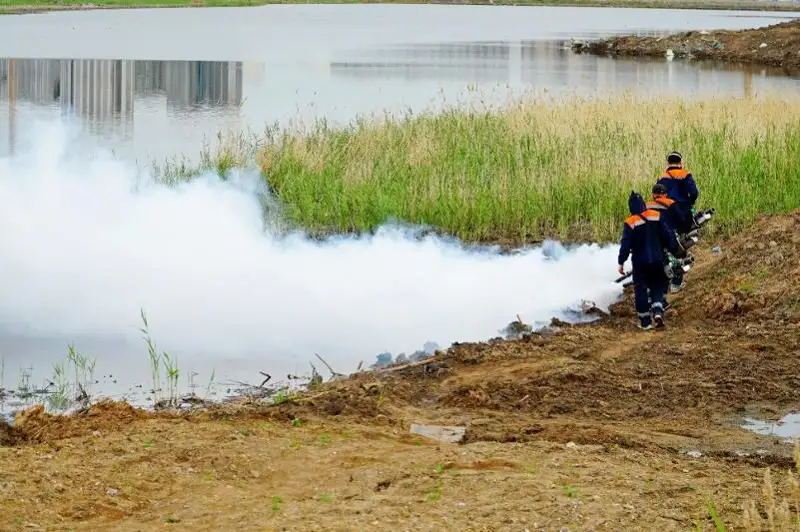 Третий тур работ по истреблению комаров и мошек начался в Нур-Султане