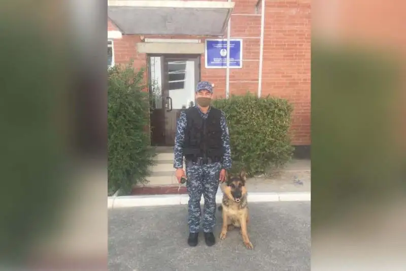Служебная собака помогла найти вора в Кызылорде