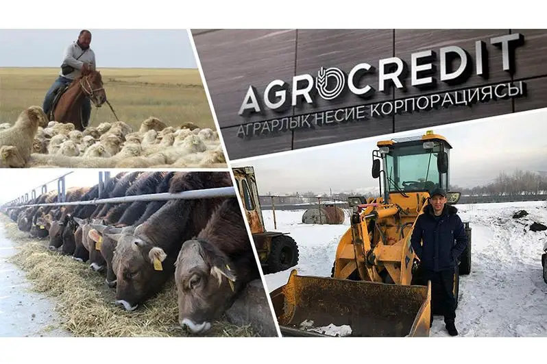 Льготное кредитование создает новые рабочие места в ВКО