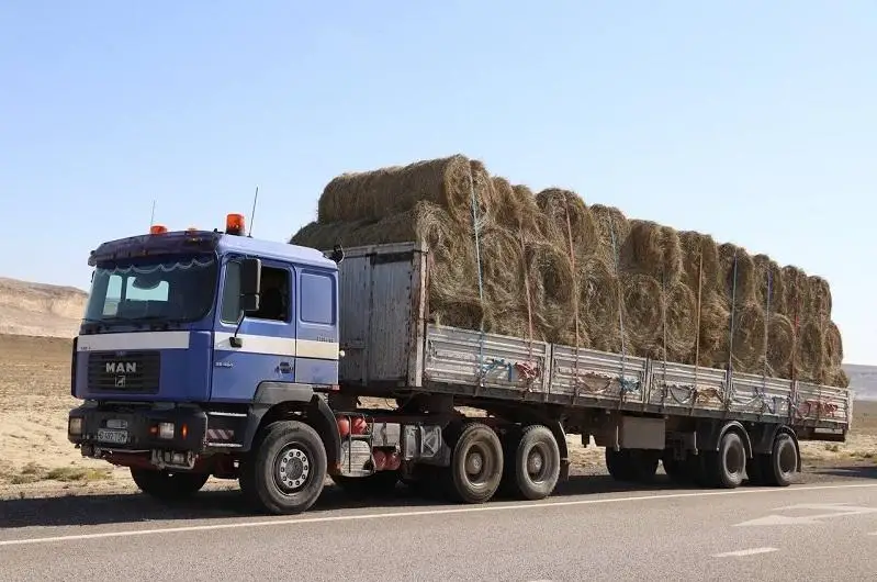 Меры по формированию запасов кормов озвучил аким Мангистауской области