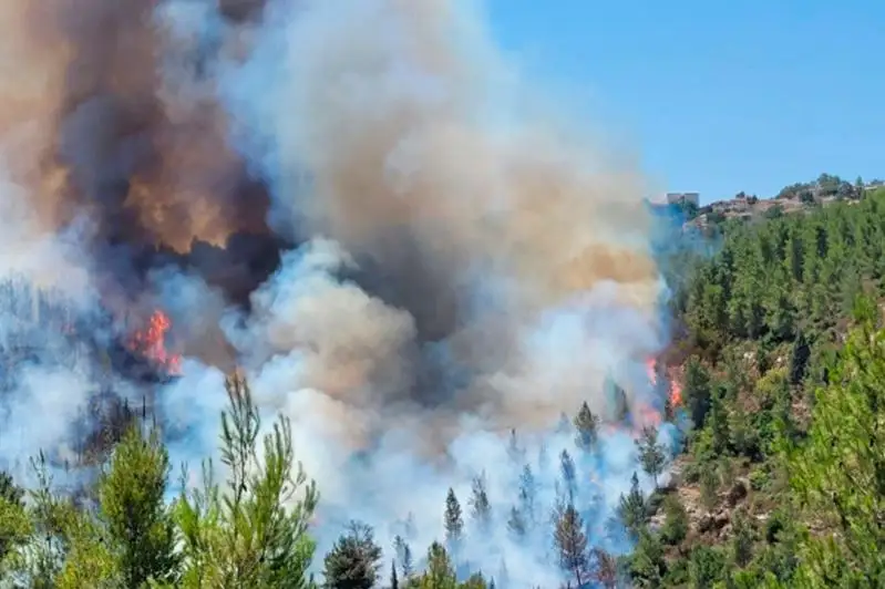 Мощный лесной пожар подбирается к Иерусалиму