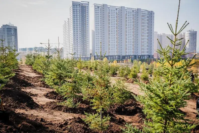Еще больше мест для отдыха и зелёных массивов появится в столице